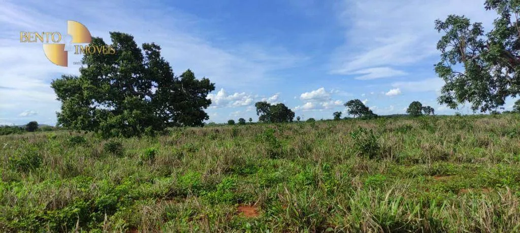 Farm for sale of 2,990 acres in Jangada, MT, Brazil
