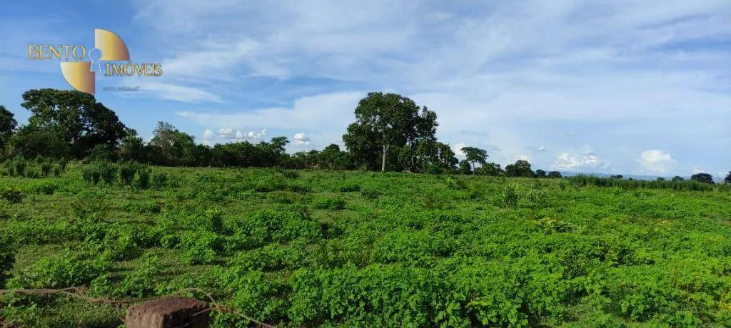 Farm for sale of 2,990 acres in Jangada, MT, Brazil