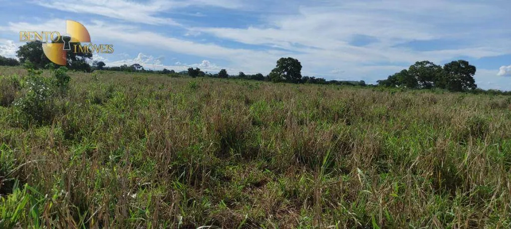Farm for sale of 2,990 acres in Jangada, MT, Brazil