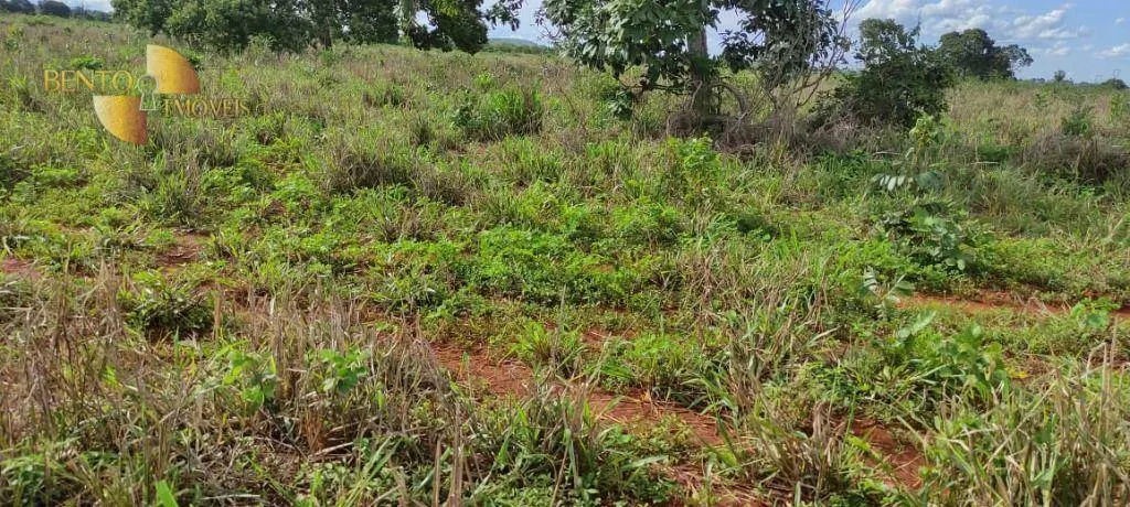 Farm for sale of 2,990 acres in Jangada, MT, Brazil