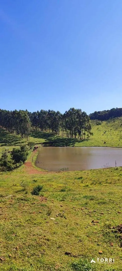 Fazenda à venda de 288 ha em Botucatu, SP, Brasil