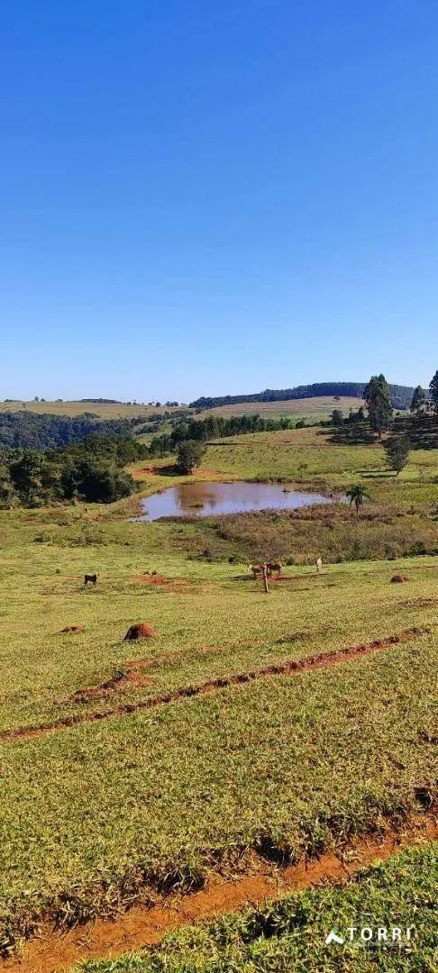 Fazenda à venda de 288 ha em Botucatu, SP, Brasil