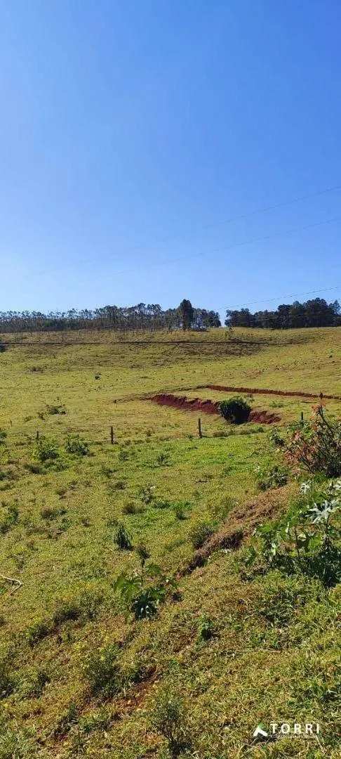 Fazenda à venda de 288 ha em Botucatu, SP, Brasil
