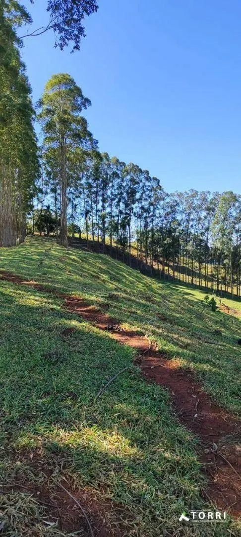 Fazenda à venda de 288 ha em Botucatu, SP, Brasil