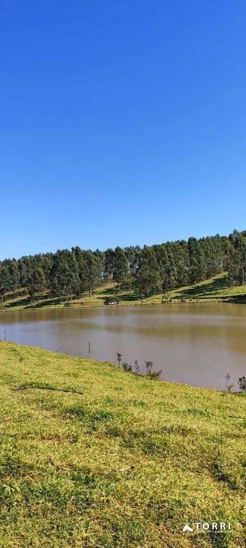 Fazenda à venda de 288 ha em Botucatu, SP, Brasil