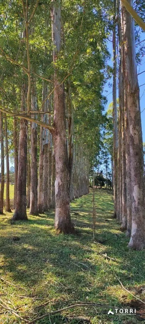 Fazenda à venda de 288 ha em Botucatu, SP, Brasil
