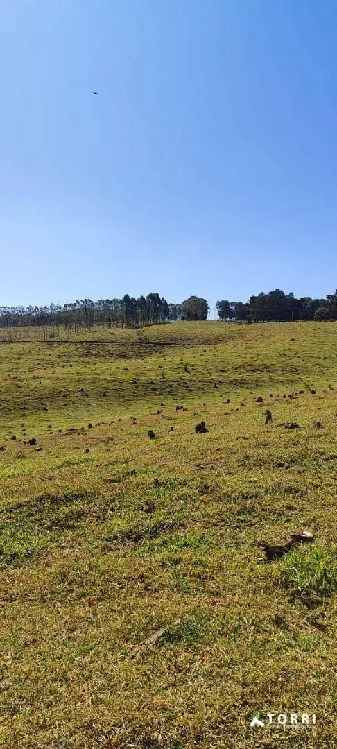 Fazenda à venda de 288 ha em Botucatu, SP, Brasil