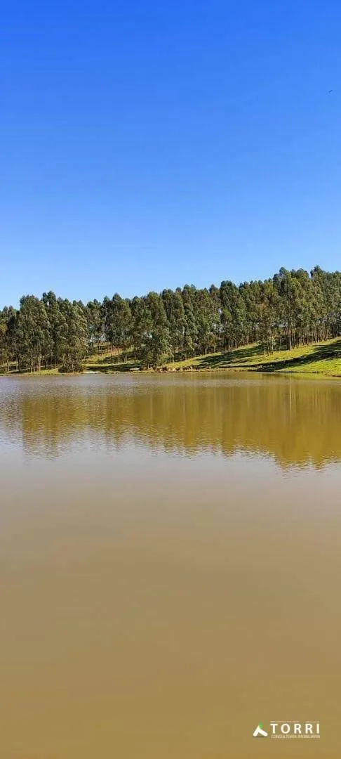 Fazenda à venda de 288 ha em Botucatu, SP, Brasil