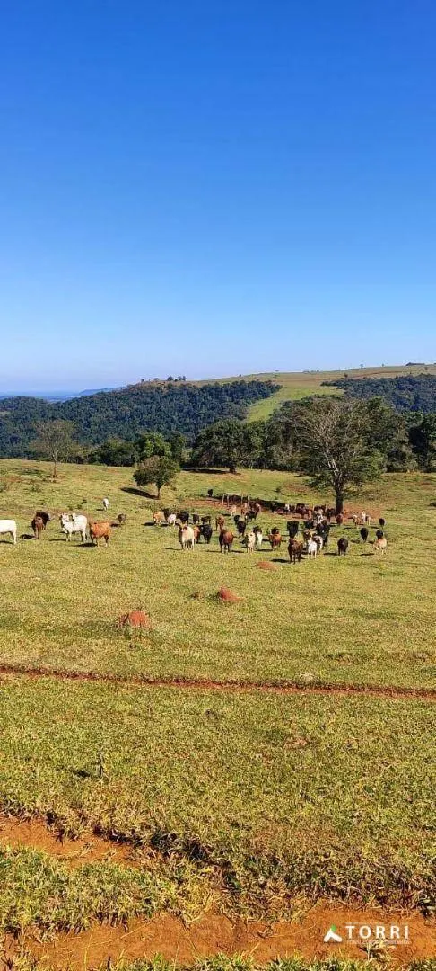 Fazenda à venda de 288 ha em Botucatu, SP, Brasil