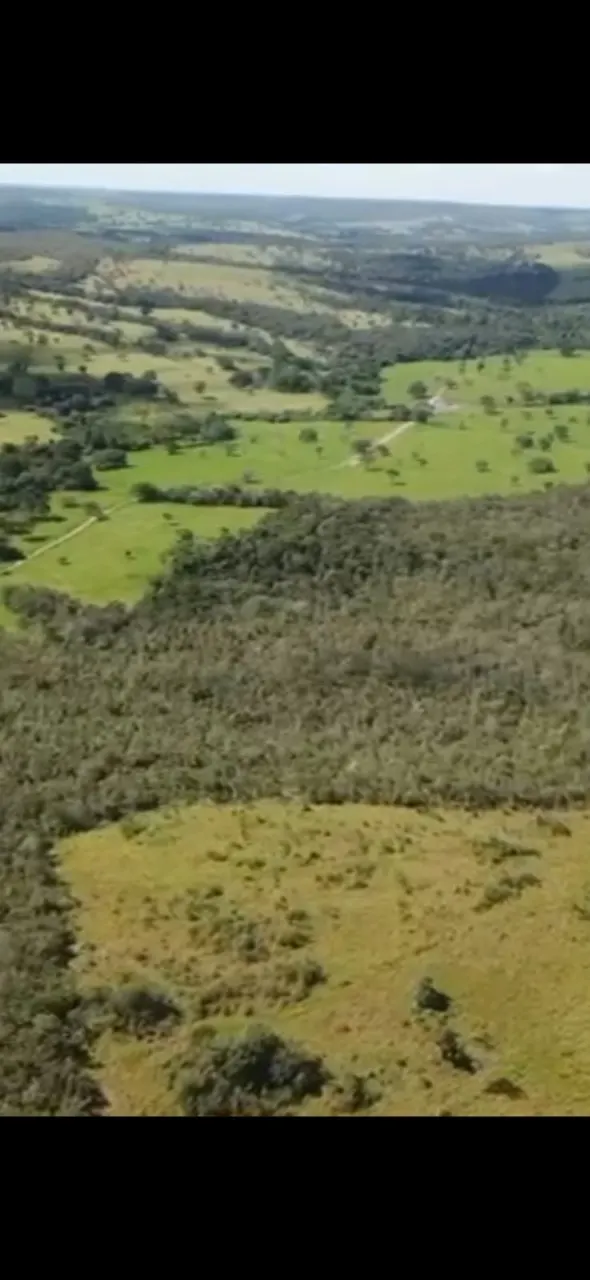 Fazenda à venda de 155 ha em Luziânia, GO, Brasil