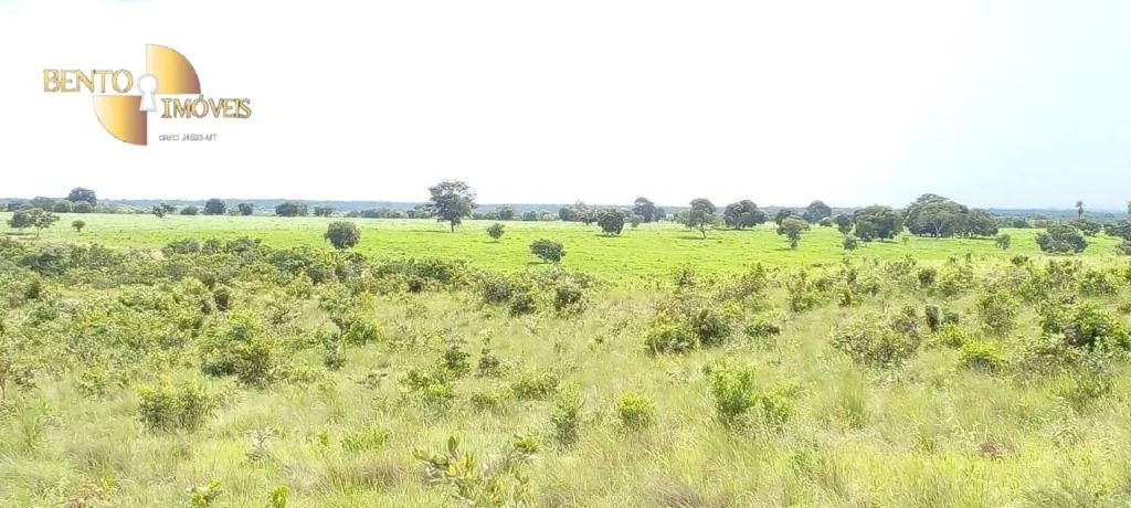 Fazenda à venda de 990 ha em Poconé, MT, Brasil