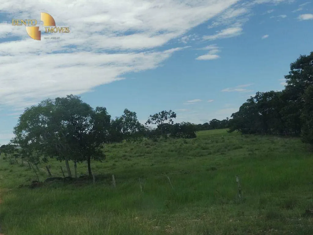 Fazenda à venda de 990 ha em Poconé, MT, Brasil