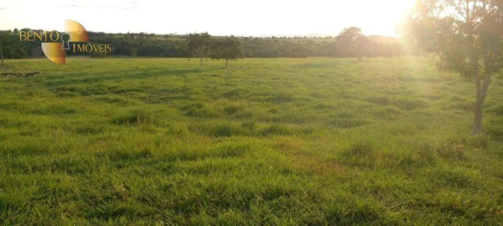Fazenda à venda de 990 ha em Poconé, MT, Brasil