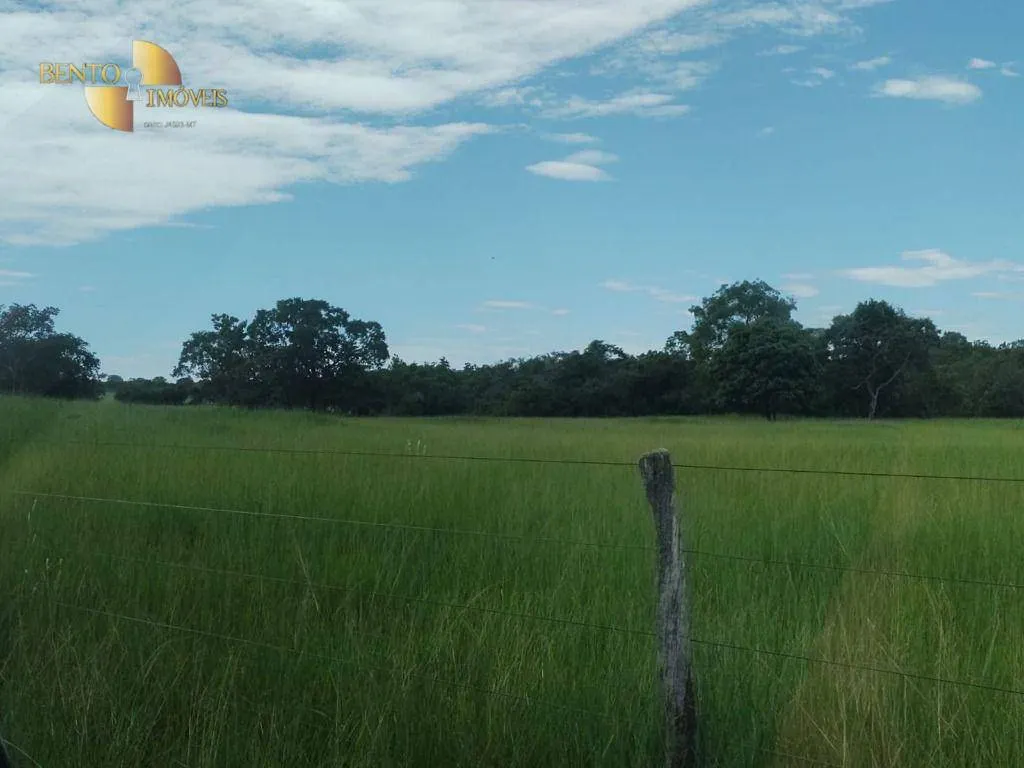 Fazenda à venda de 990 ha em Poconé, MT, Brasil