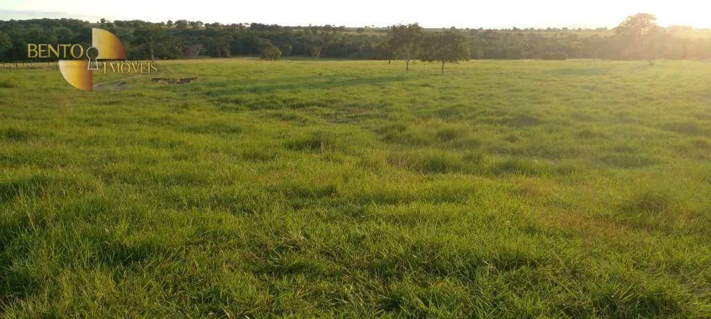 Fazenda à venda de 990 ha em Poconé, MT, Brasil