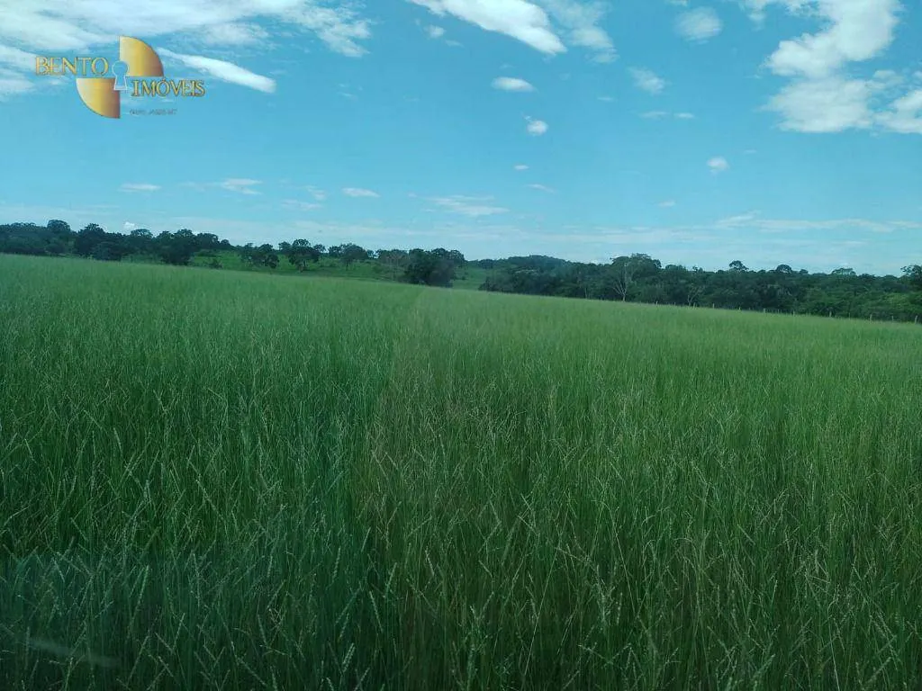 Fazenda à venda de 990 ha em Poconé, MT, Brasil