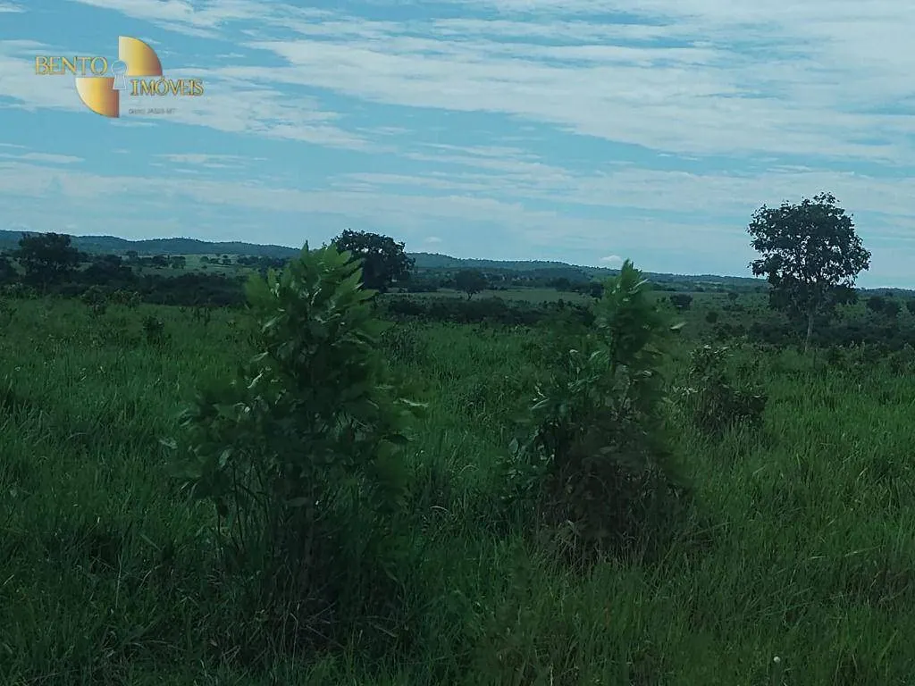 Fazenda à venda de 990 ha em Poconé, MT, Brasil