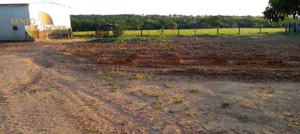 Fazenda à venda de 990 ha em Poconé, MT, Brasil