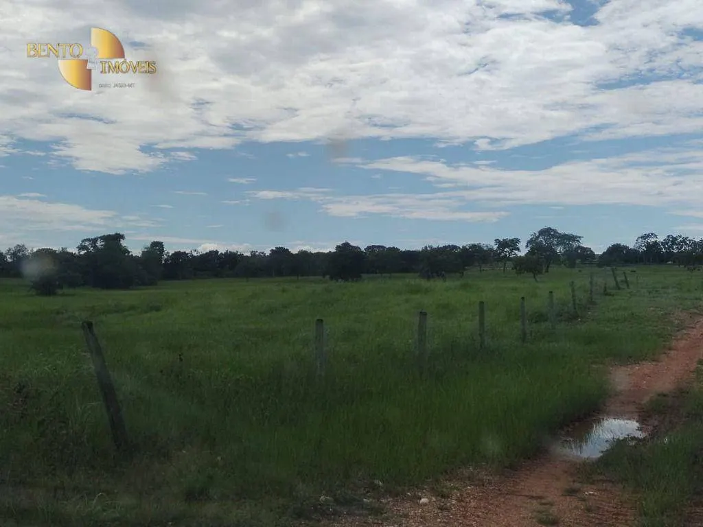 Fazenda à venda de 990 ha em Poconé, MT, Brasil