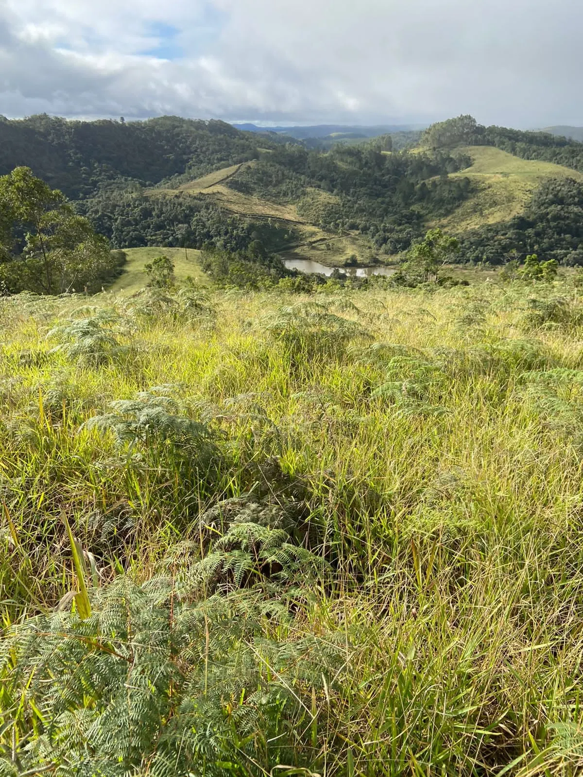 Farm for sale of 466 acres in Ribeirão Branco, SP, Brazil