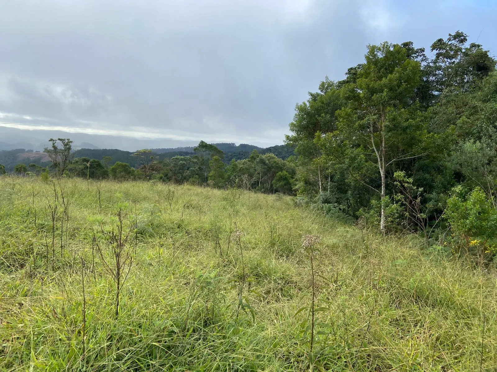 Farm for sale of 466 acres in Ribeirão Branco, SP, Brazil