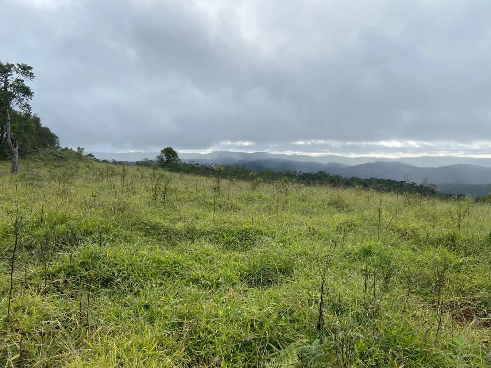 Fazenda à venda de 189 ha em Ribeirão Branco, SP, Brasil