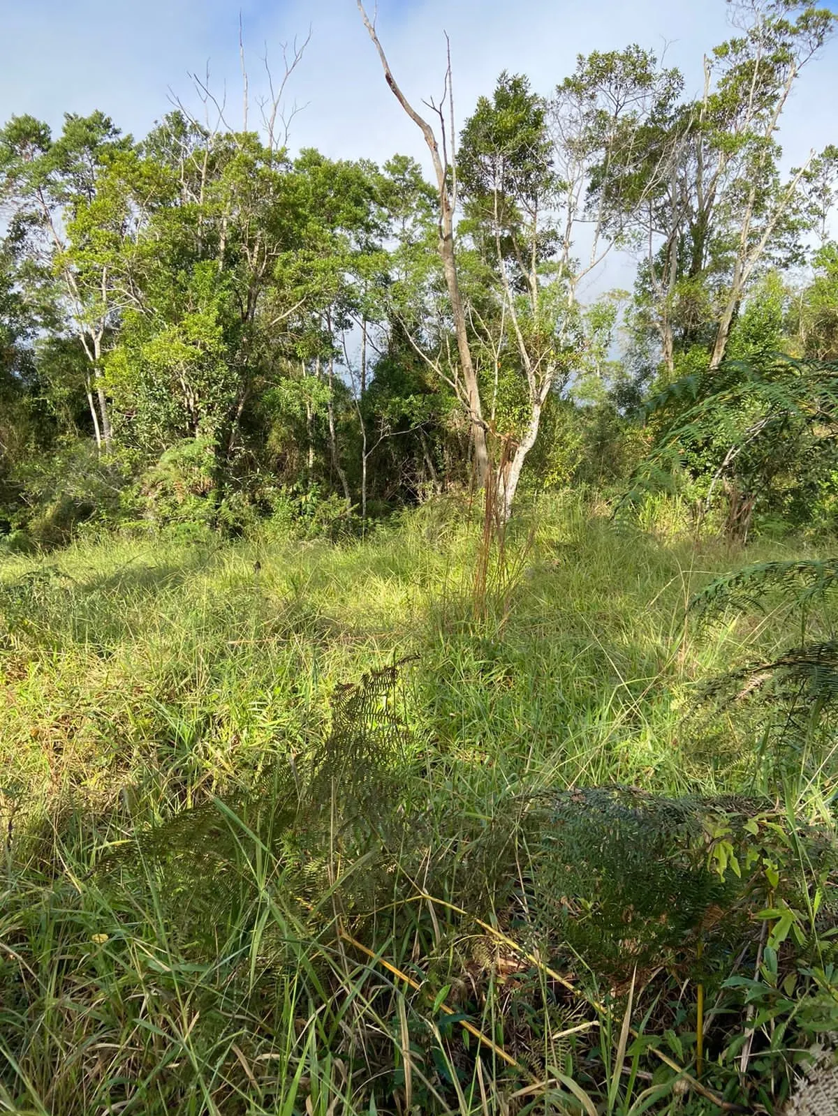 Farm for sale of 466 acres in Ribeirão Branco, SP, Brazil