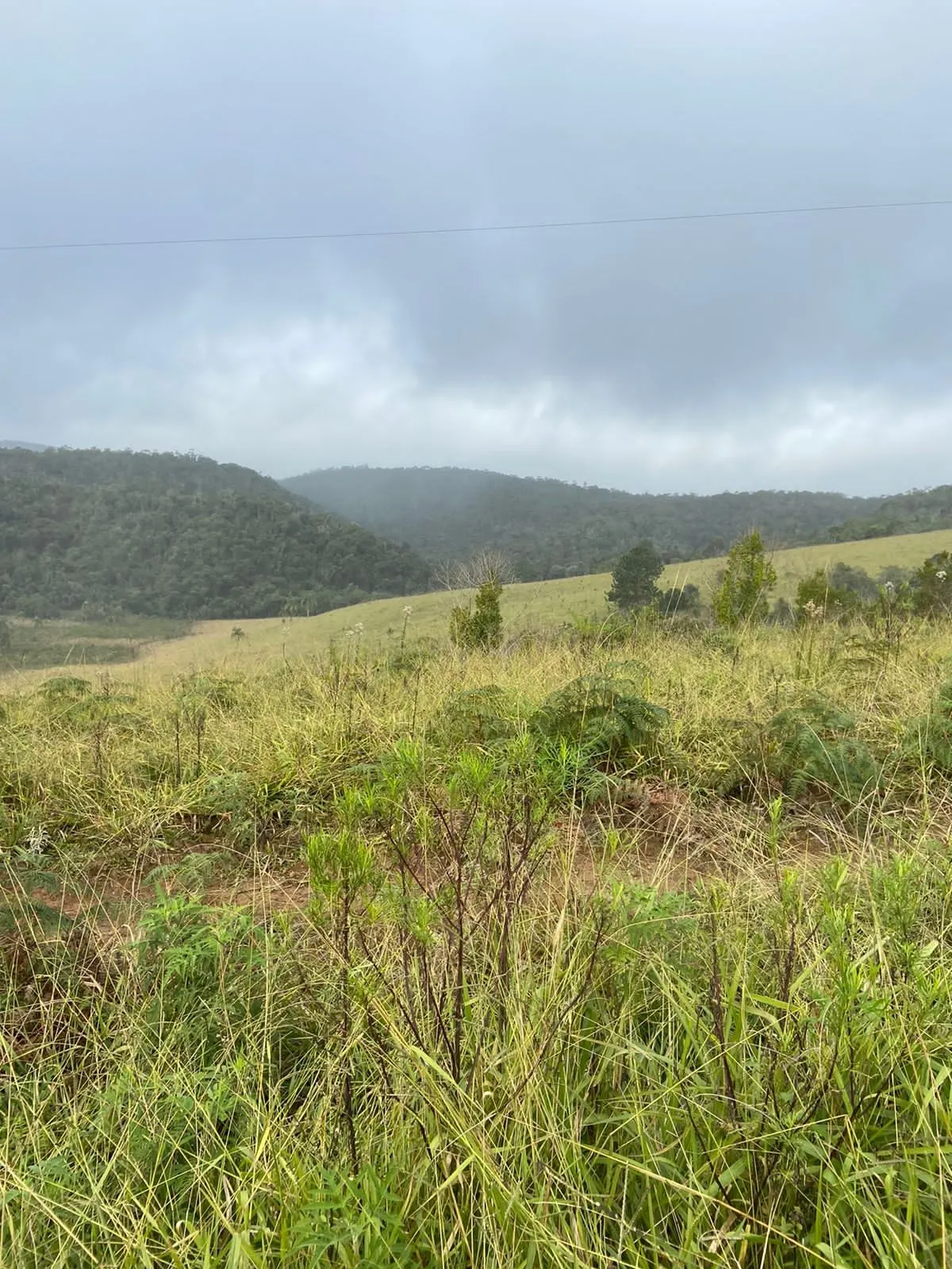 Farm for sale of 466 acres in Ribeirão Branco, SP, Brazil
