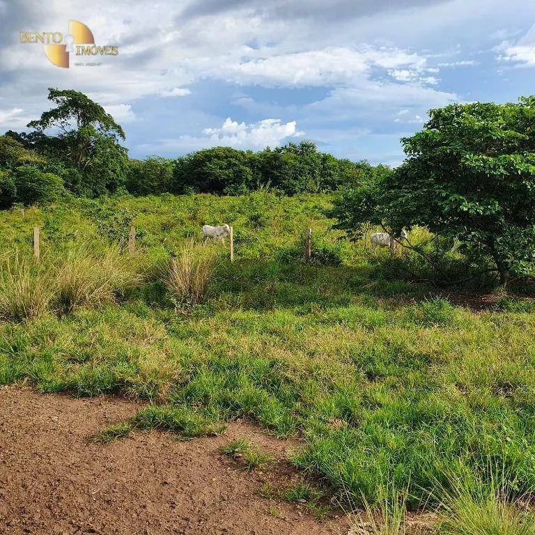 Fazenda à venda de 247 ha em Cáceres, MT, Brasil