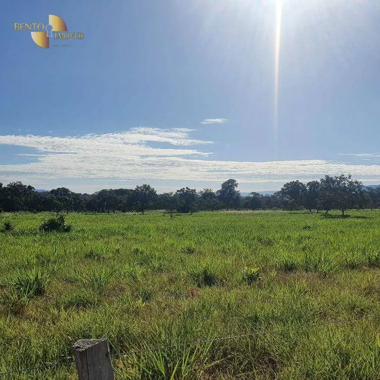 Fazenda à venda de 247 ha em Cáceres, MT, Brasil