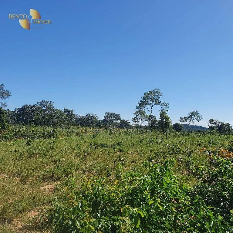 Fazenda à venda de 247 ha em Cáceres, MT, Brasil