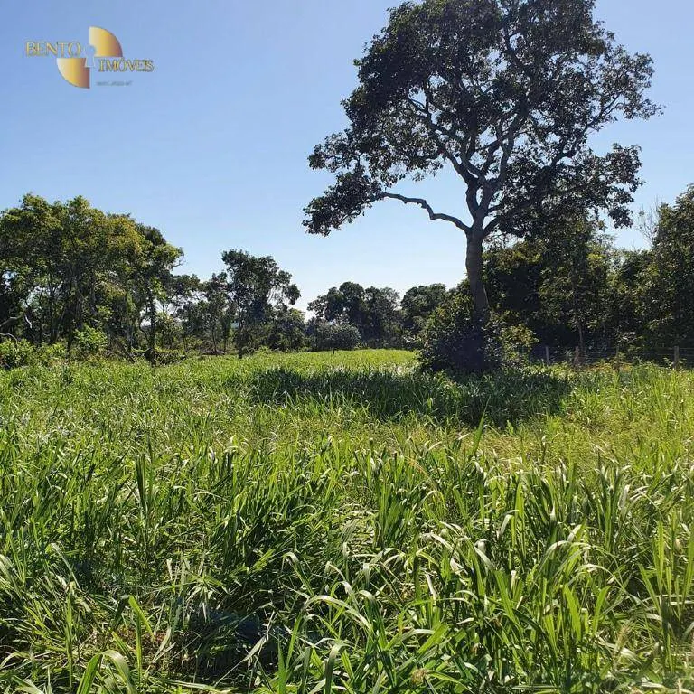 Fazenda à venda de 247 ha em Cáceres, MT, Brasil