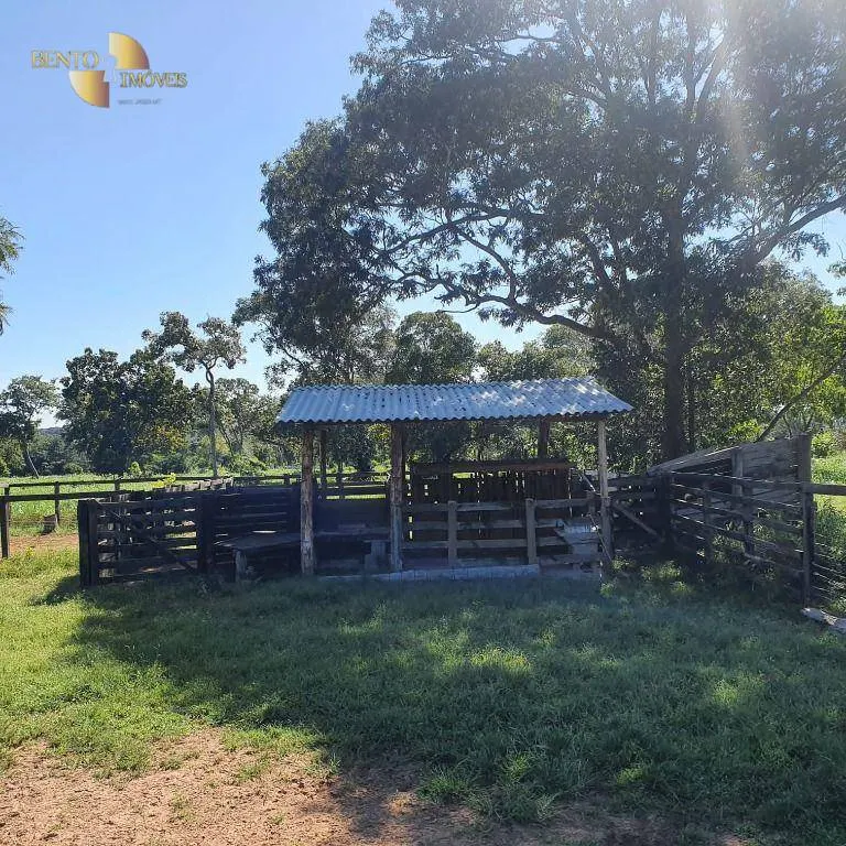Fazenda à venda de 247 ha em Cáceres, MT, Brasil