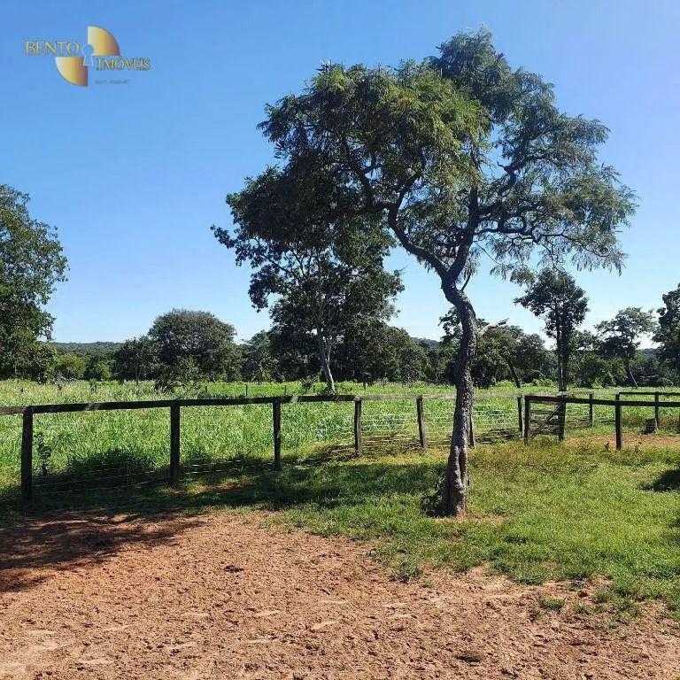 Fazenda à venda de 247 ha em Cáceres, MT, Brasil
