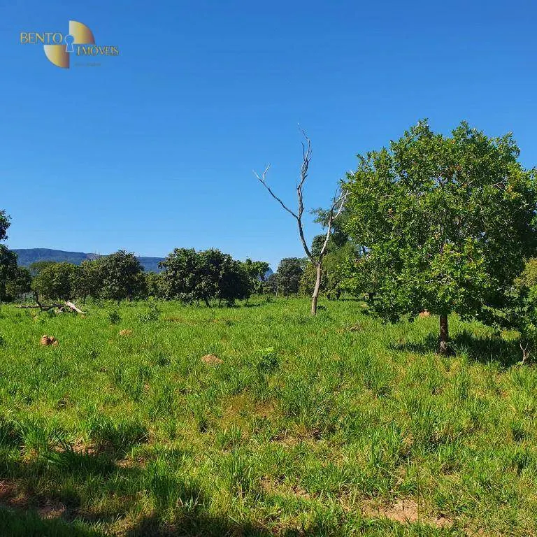 Fazenda à venda de 247 ha em Cáceres, MT, Brasil