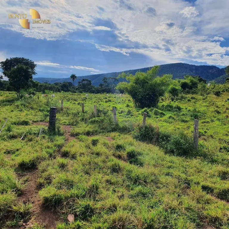 Fazenda à venda de 247 ha em Cáceres, MT, Brasil