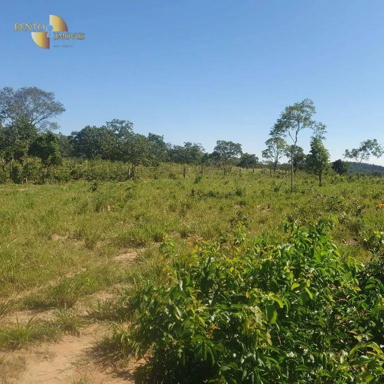 Fazenda à venda de 247 ha em Cáceres, MT, Brasil