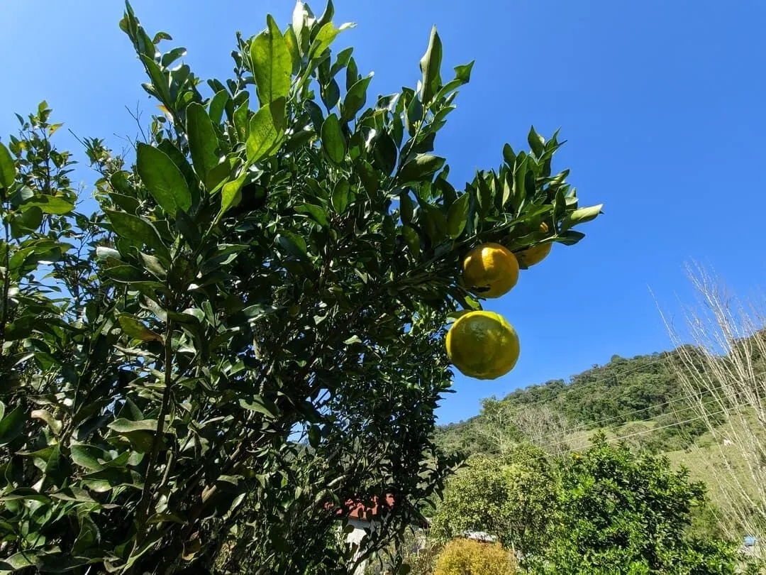 Chácara à venda de 3 ha em Rio do Sul, SC, Brasil