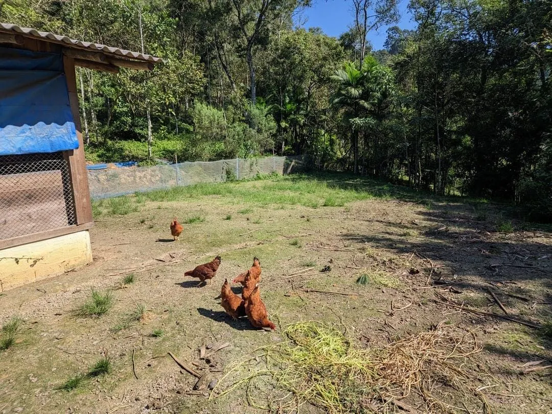 Chácara à venda de 3 ha em Rio do Sul, SC, Brasil