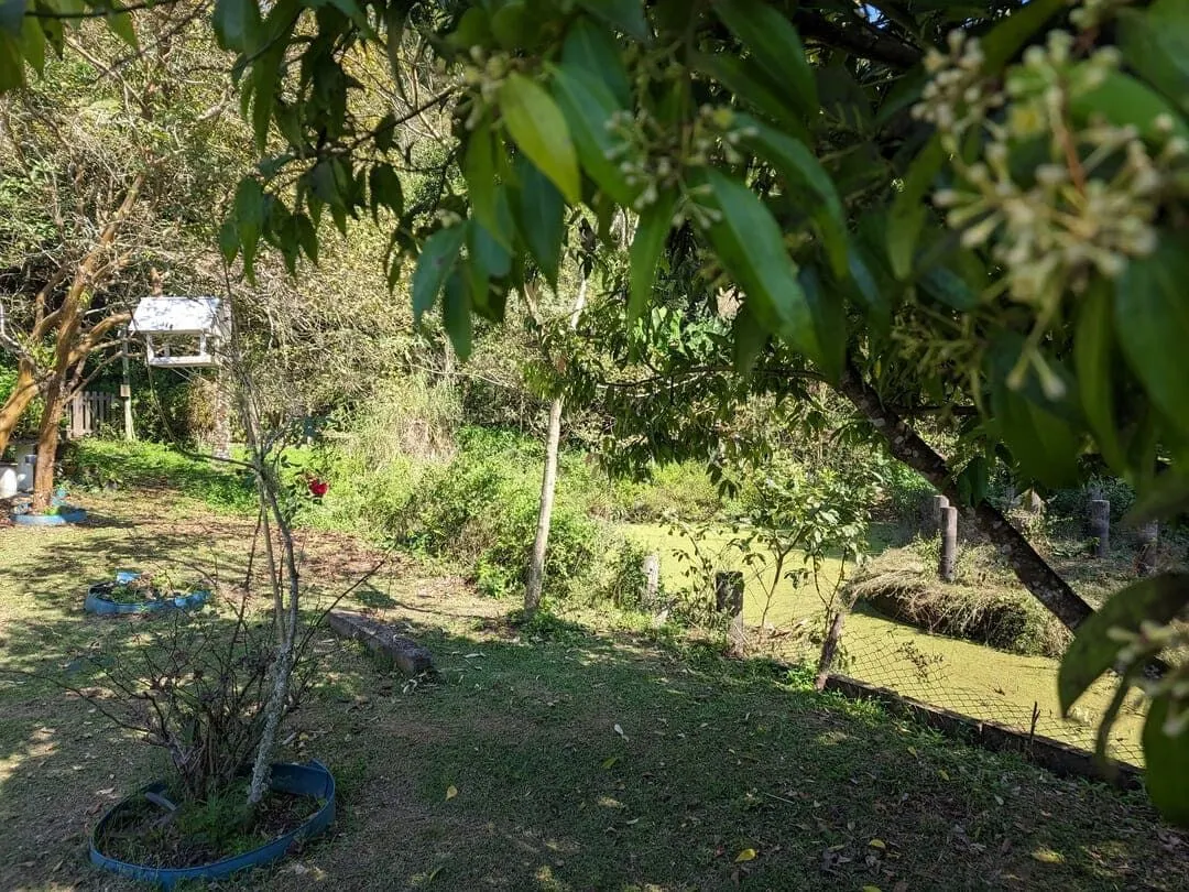 Chácara à venda de 3 ha em Rio do Sul, SC, Brasil