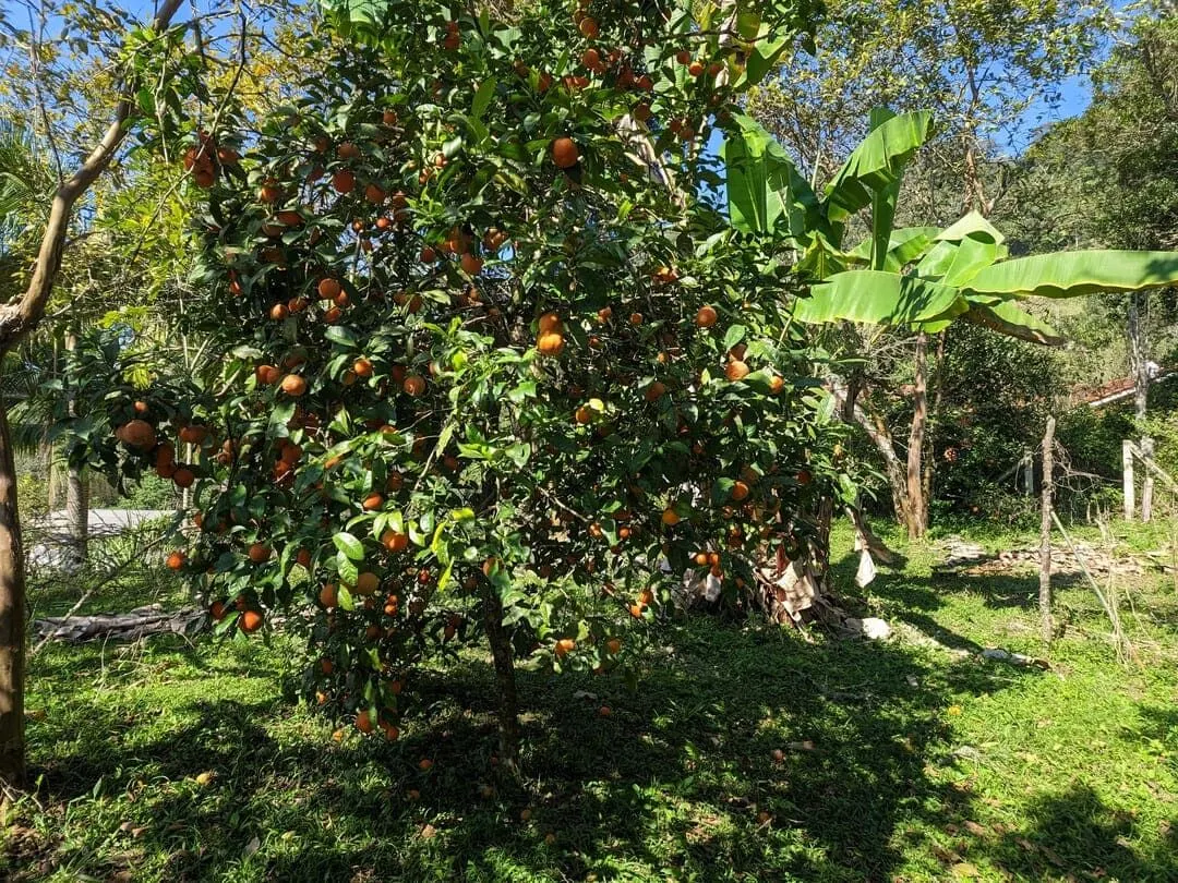 Chácara à venda de 3 ha em Rio do Sul, SC, Brasil