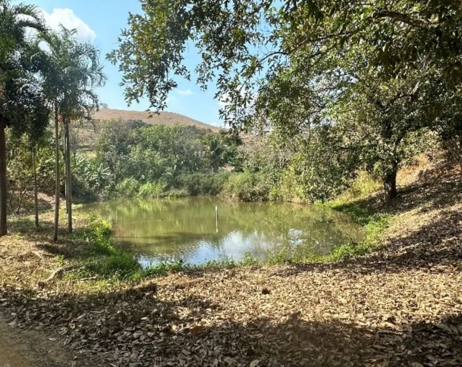 Sítio à venda de 9 ha em Astolfo Dutra, MG, Brasil