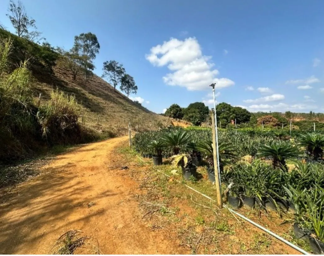 Sítio à venda de 9 ha em Astolfo Dutra, MG, Brasil