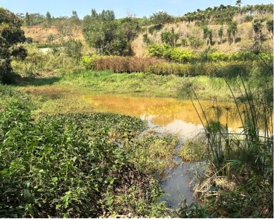 Sítio à venda de 9 ha em Astolfo Dutra, MG, Brasil