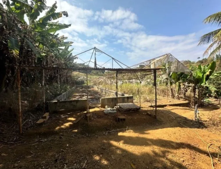 Sítio à venda de 9 ha em Astolfo Dutra, MG, Brasil