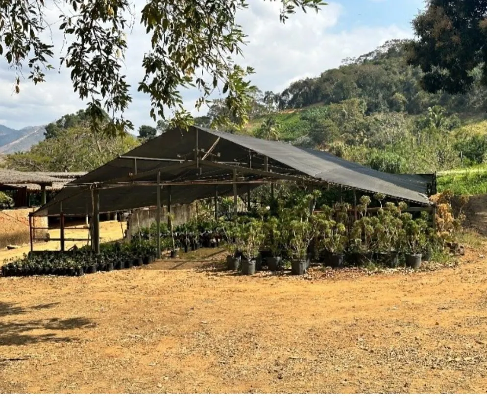 Sítio à venda de 9 ha em Astolfo Dutra, MG, Brasil