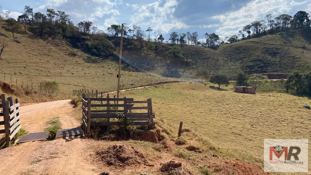 Sítio à venda de 87 ha em Estiva, MG, Brasil