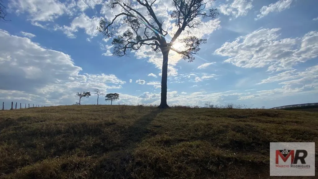 Sítio à venda de 87 ha em Estiva, MG, Brasil