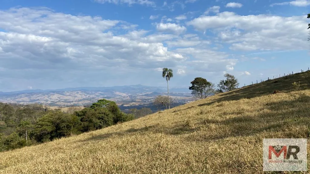 Sítio à venda de 87 ha em Estiva, MG, Brasil