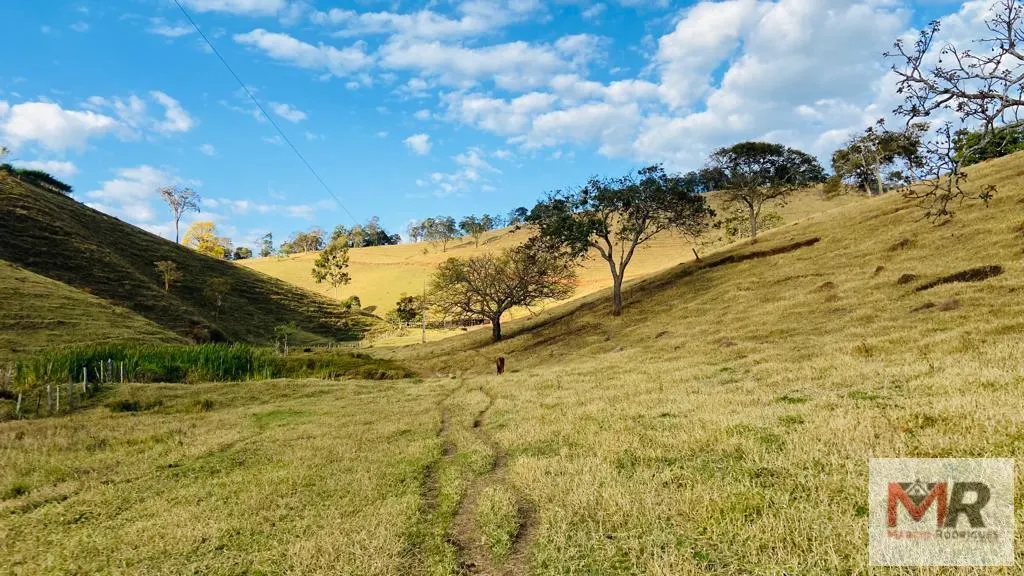 Sítio à venda de 87 ha em Estiva, MG, Brasil
